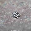 Hammered Star