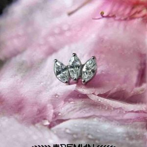 Leaf-Marquise_Feed08.jpg