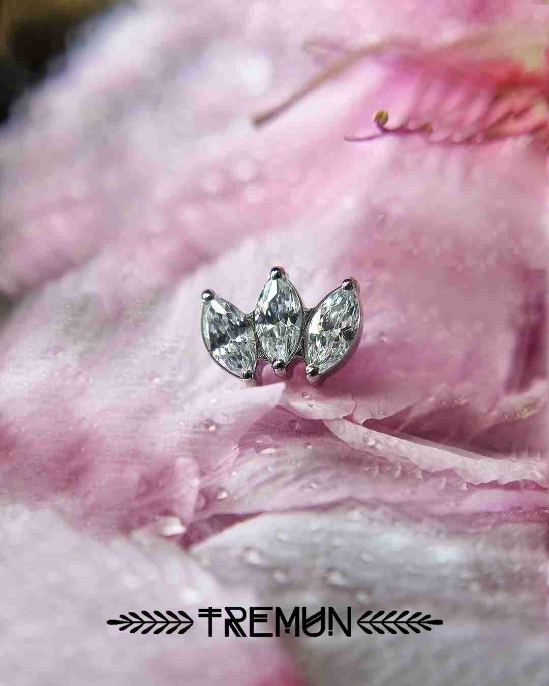 Leaf-Marquise_Feed08.jpg