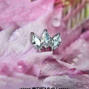 Leaf-Marquise_Feed09.jpg
