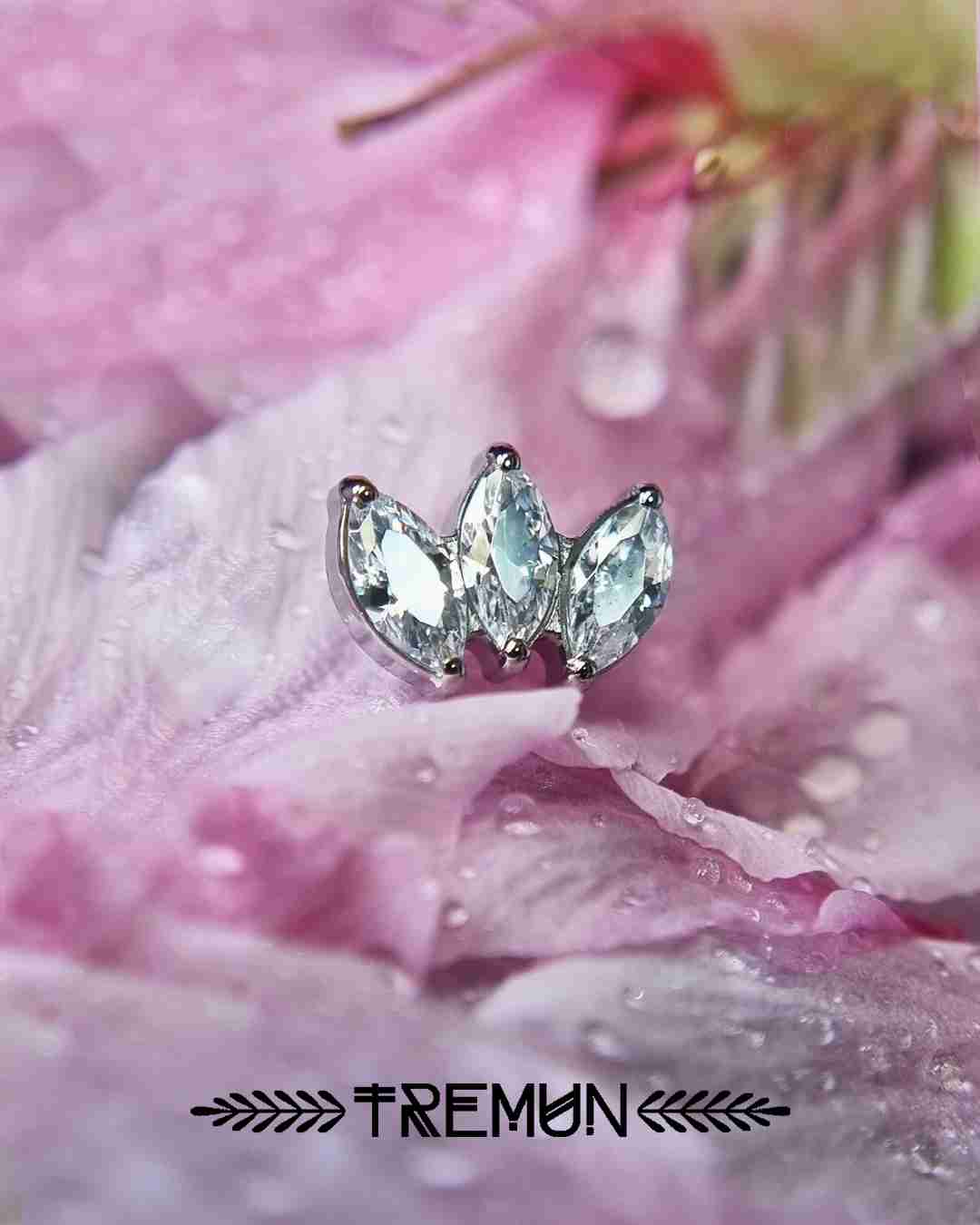 Leaf-Marquise_Feed09.jpg