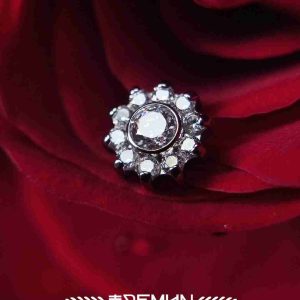 Sunflower Cz