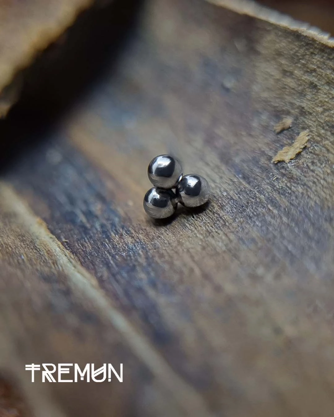 Tremun-feed-552.webp
