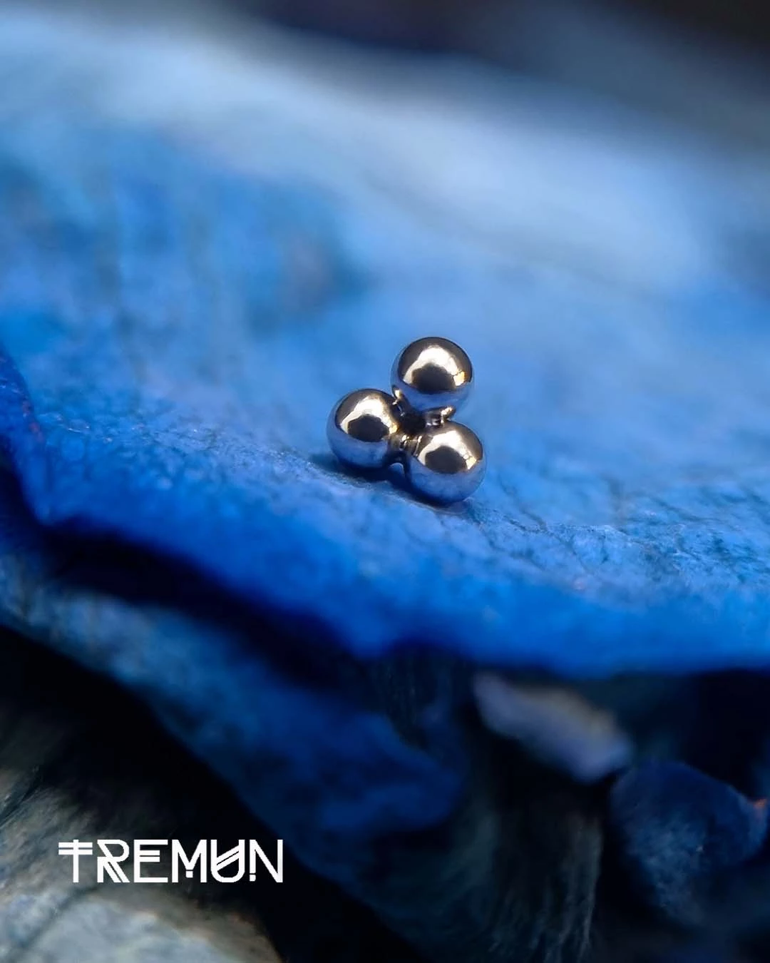 Tremun-feed-559.webp