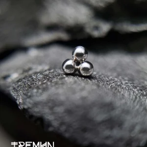 Tremun-feed-569.webp