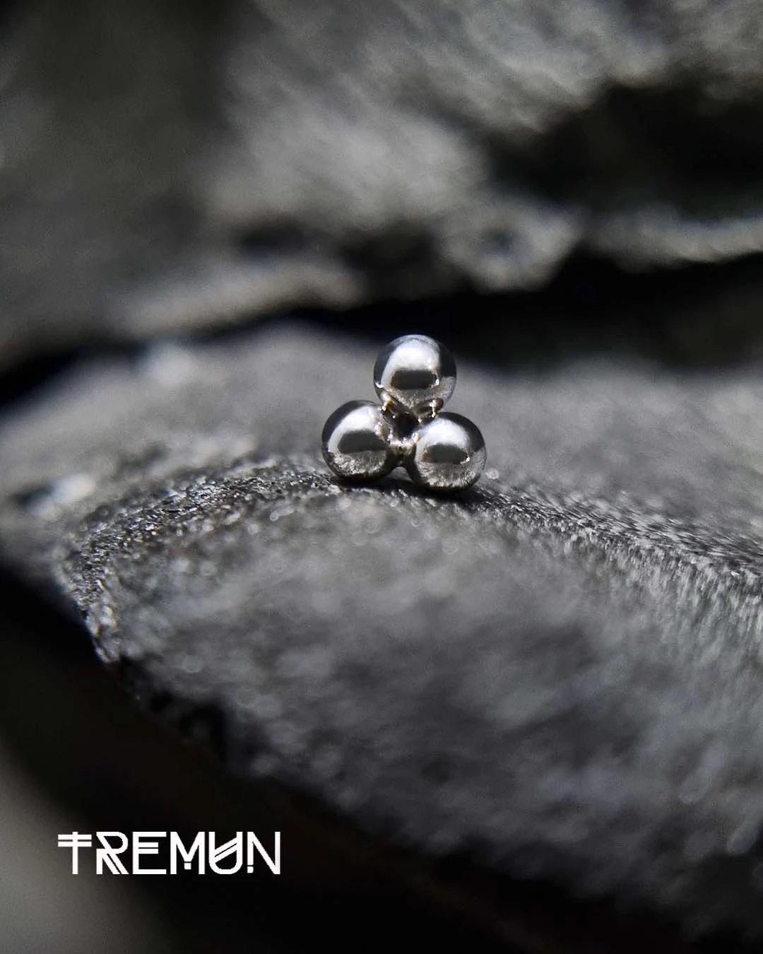 Tremun-feed-569.webp