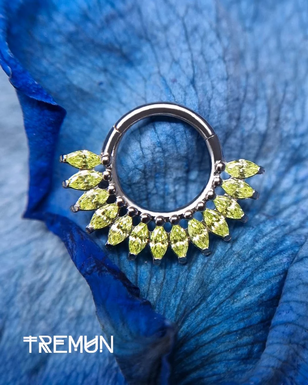 Tremun-feed-650.webp