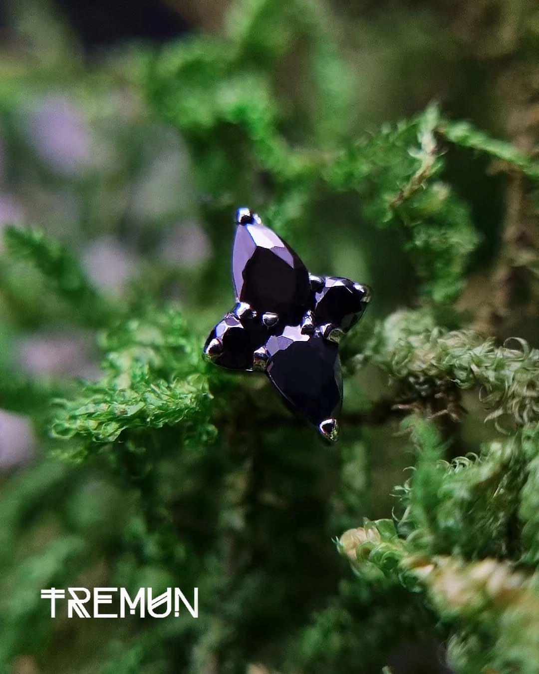 Tremun-feed-669.webp