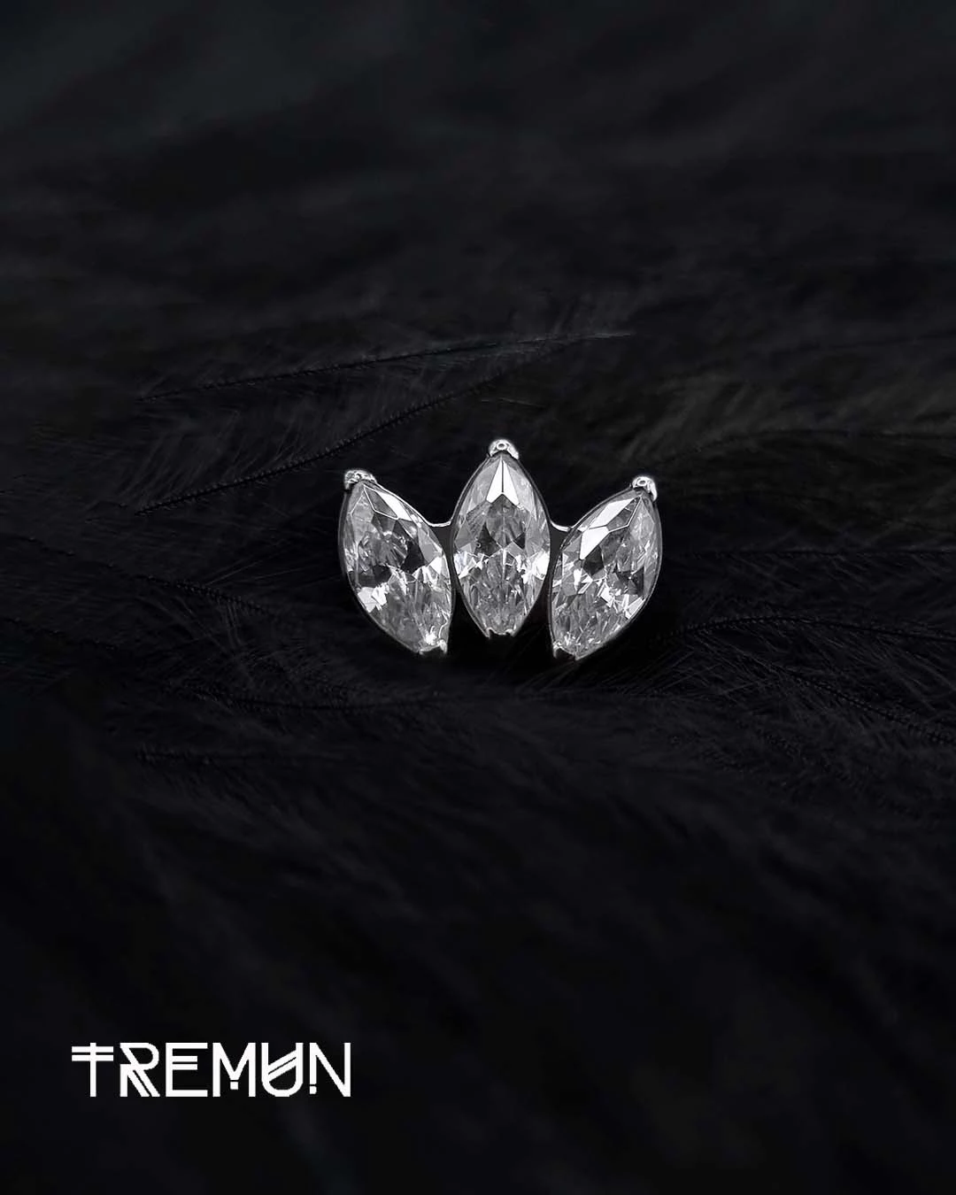 Tremun-feed-743.webp