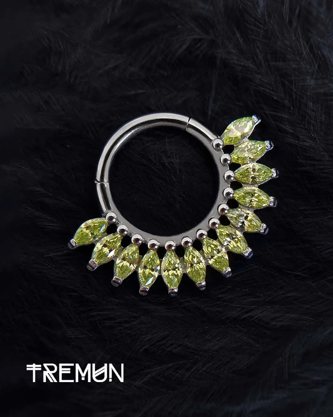 Tremun-feed-807.webp